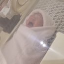일산 차병원 제왕절개 4인실 후기 (쌍둥이 출산 병원비 + 5박 6일 타임라인)