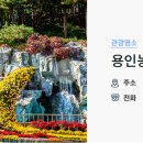 용인농촌테마파크 다정다감 이미지