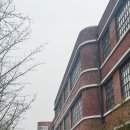 가볍게 시작하는 현대미술 | 시간의 흐름이 야속한 일상 기록 (feat. 다이렉트웨딩, 캄파눌라, 현대미술, 반찬데이, 레진작업)