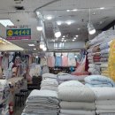 세연이불