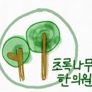초록나무한의원 이미지