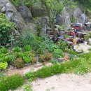 상면농장 이미지