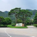 삼성물산(주) 가평베네스트골프클럽 이미지