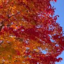 관광단지주차장 1화장실 이미지