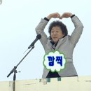 도룡 목장 | 1 - 1 해피하고 뉴 이어입니다