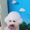 나보다 예쁘개 이미지