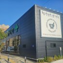 마음약국 | 천안 대형약국 영양제·상비약 저렴한 '메가센트럴약국' 쇼핑 후기