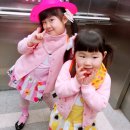 미앤지 이미지