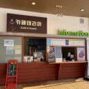 양지파인리조트 이미지