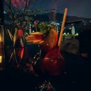 시우어게인 | 이태원 루프탑 맛집 노을야경집 시우어게인 방문 찐 후기