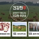 금진한우