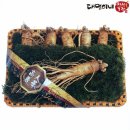 대명농장 이미지