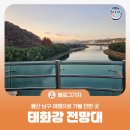 태화주유소 | [블로그 기자] 울산 남구 여행으로 가볼 만한 곳 태화강 전망대