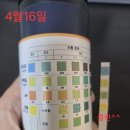 남양엘약국 이미지