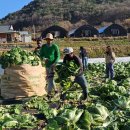 계절축산 이미지