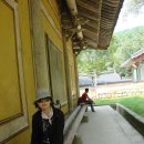 합덕초교 이미지