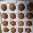 꼬꼬퀸즈 이미지