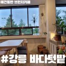 바다텃밭 Lab | [강릉] 바다텃밭 Lab_강릉 키친 가드닝 카페_애견 동반