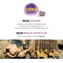 미디어블
