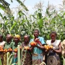 밀알농장 이미지