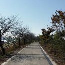 담양오방길5코스(누정길) 이미지