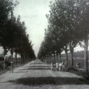 원창농장 이미지