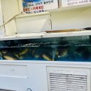 경남횟집 이미지