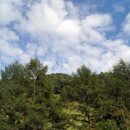 뒷골옛집 이미지