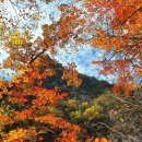 10월23일 일요일[ 치악산]공지 국립공원 블랙야크 100대 명산 이미지