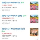 대구 근교 가볼만한 곳 가을핫플 핑크뮬리명소 가산수피아 (feat. 바베큐장, 알파카, 미술관, 체험)