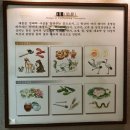 구덕민속촌 | [한국민속촌] 용인 여행 / 비오는날 한국민속촌 다녀온 후기