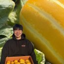 정용농장 이미지