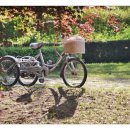 양구선사박물관 이미지