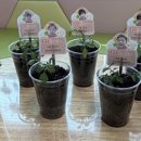 천사어린이집 이미지