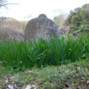 복사꽃피는마을 이미지