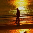 골목시장 이미지