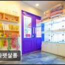 로라펫살롱 이미지