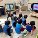 봄꽃에내린단비 이미지