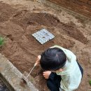 롯데리아김천혁신도시점 이미지