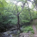 유천리 삼거리 이미지