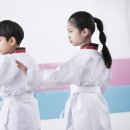 리틀타이거 태권도 이미지