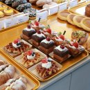 더마레 104 이미지