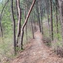 봉담호수공원 이미지