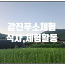 동백골한옥 이미지