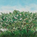 2024 찾아가는 도립미술관 이미지