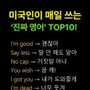 로노 Daum카페