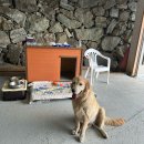 거가연가 이미지