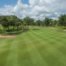 빅토리파크 이미지