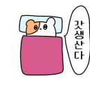 햄별 이미지