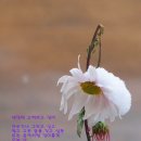 맑고고운세상